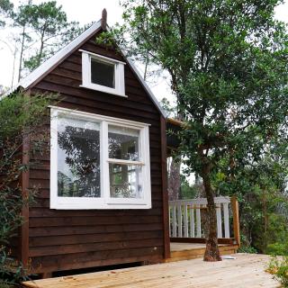 Ponga eco-lodge - Hahei - 7