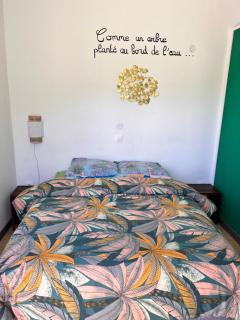 La Maison Verte - Le Tampon - 2