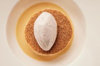 Palanga Life Balance SPA Hotel - 1