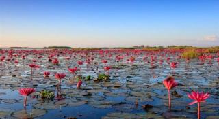 Maderbua hotel - Udon Thani - 4