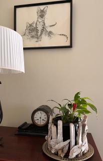 Panache Wildlife Cottage-Self Catering - Hoedspruit - 0
