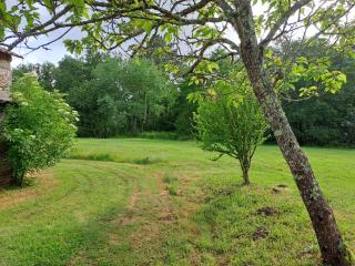 Gite pleine nature - Montazeau - 2