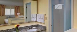 Sonesta ES Suites Ann Arbor - 2