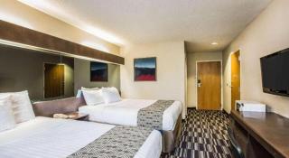 Microtel Inn & Suites by Wyndham Chattanooga/Near Hamilton P - Chattanooga - 3