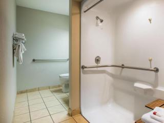 Microtel Inn & Suites by Wyndham Chattanooga/Near Hamilton P - 3