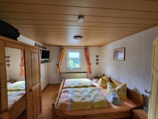 Apartment in Hüttenrode near Hiking Trails - Hüttenrode - 2