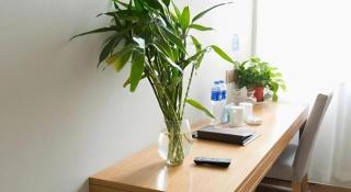 GreenTree Inn Maanshan Hanshan District Jiuwu Square Hotel - 1