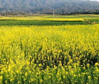Beret B & B - Tengchong - 3