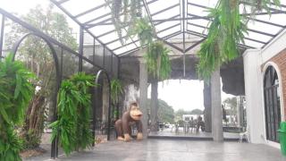 I View Park Resort - Ban Non Sung - 1