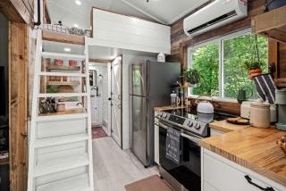 Off-Grid Cabin Surrounded by Trees in Pineville, Missouri - 3