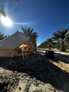 Heavenly Chic Bell Tent Great for a Tranquil Getaway in Arizona - Wellton - 0