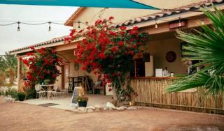 Heavenly Chic Bell Tent Great for a Tranquil Getaway in Arizona - Wellton - 2