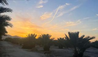 Heavenly Chic Bell Tent Great for a Tranquil Getaway in Arizona - Wellton - 1