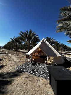 Romantic Desert Bell Tent Ideal for Two in Arizona - Wellton - 0