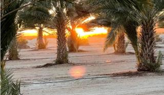 Romantic Desert Bell Tent Ideal for Two in Arizona - Wellton - 7