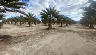 Romantic Desert Bell Tent Ideal for Two in Arizona - Wellton - 3