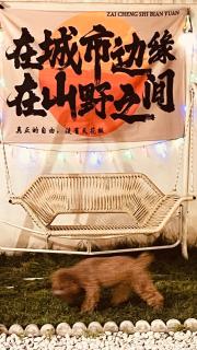 Beijing Meet the Mountain Boutique Guesthouse - Zhangshanying - 1