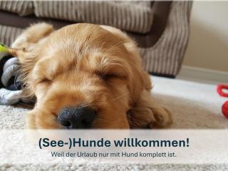 Heringsdorf, sonnige FeWo, 4 Schlafzimmer , 7 Pers Heidi - 3