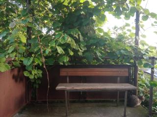 One bedroom room - Sugdidi - 1