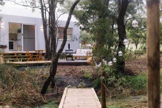 Nestled On Wilderness - Lovedale - 5