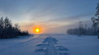 Villa Terwaluoto - 5