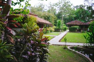 Satwa Elephant Eco Lodge - Labuhanratu - 1