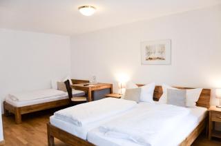 Hotel Blaue Traube - 9