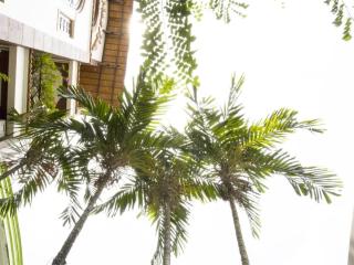 Spring Hotel - 1