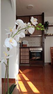 Apartamento Juan - Son Bou - 4