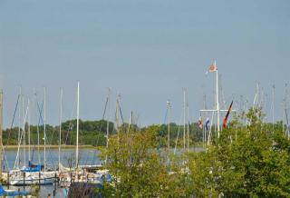 Marina - 8