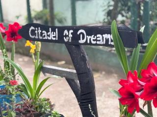 Citadel of Dreams Ella - Ella - 8
