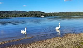 Lakeside Village 5 - Frymburk - 5