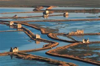 4 Roses Residence VRTNICA - 1