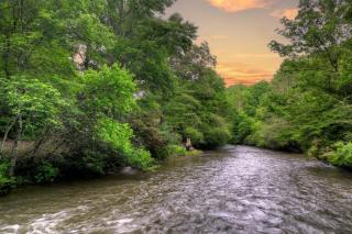 A Little Bit of Heaven Swim in the creek soak in the hot tub and relax in comfort - 7