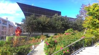 Le California - Biarritz - 7