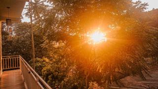 Araliya Holiday Home - Bandarawela - 1