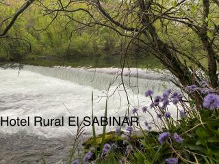 HOTEL RURAL EL SABINAR - 9