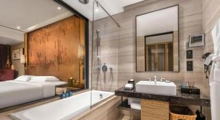 Shijiazhuang Ximeijin Continental Hotel - Shijiazhuang - 2