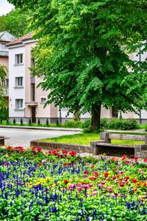 Calm Oasis in Klaipeda Center - Klaipėda - 2