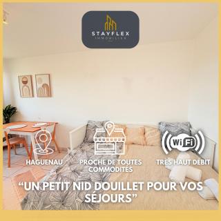 Le Nid Douillet - Parking Included - Haguenau - Haguenau - 0