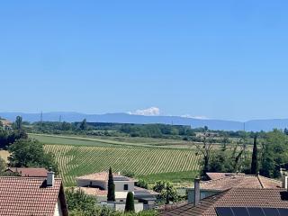 Le Cocon du Mont'Anay - Montanay - 8