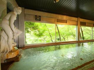 Hotel Miyama - Chichibu - 2