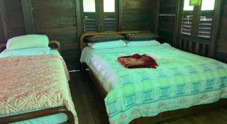OYO Home 90564 Homestay Rumah Warisan - Arau - 1