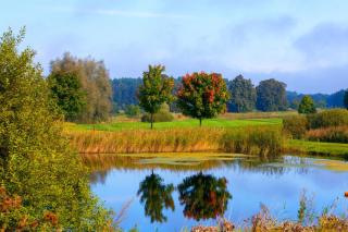Villa Sole am Fleesensee - Göhren-Lebbin - 9