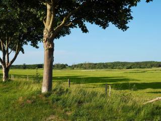 Ferienwohnung Bunte Wiese - Parchtitz - 8