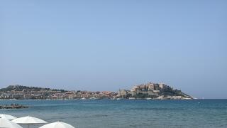 Studio avec jardin au cœur de la Pinède de Calvi - Calvi - 0
