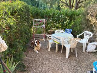 Studio avec jardin au cœur de la Pinède de Calvi - Calvi - 7