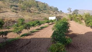 Aikant Agro Tourism, Pondewadi - Kauthe - 3