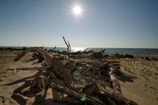 Brennan Beach Lakeview Loft Park Model 6 - 2