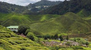 OYO 1231 Ar Rayyan Boutique Hotel - Cameron Highlands - 1